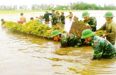 Phổ biến luật phòng chống thiên tai (20/12/2015)